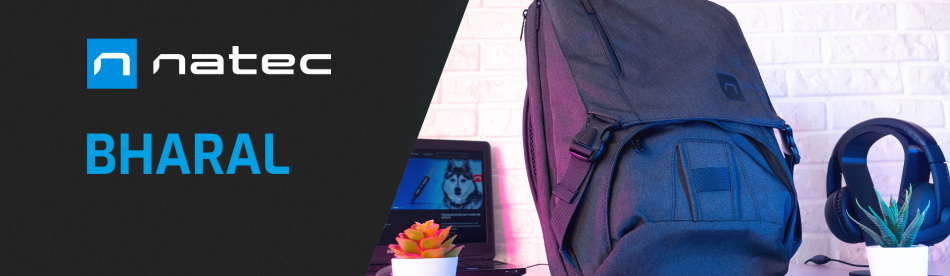 Njmi4pfbtzmoh1u6jxvs12eq