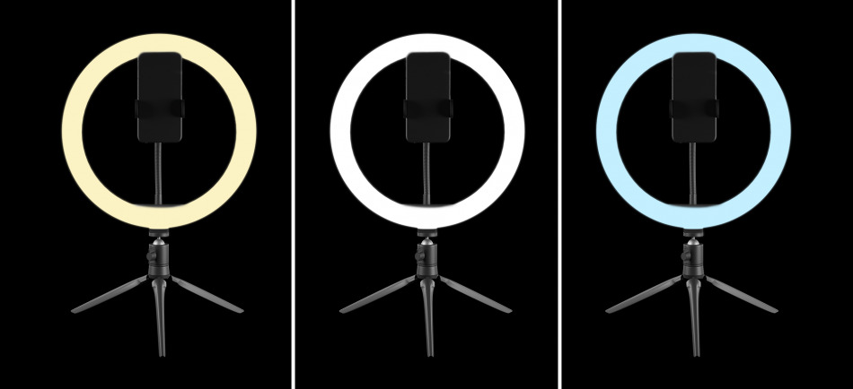 F6mn0vy994foy2vxlzu6wikqn