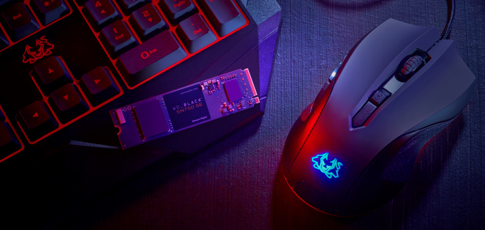 Wd Black Sn750 Se Ssd