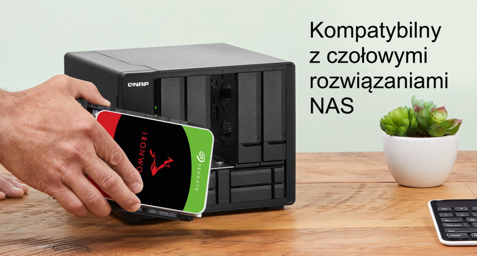 Ironwolf 1tb Seagate Nas