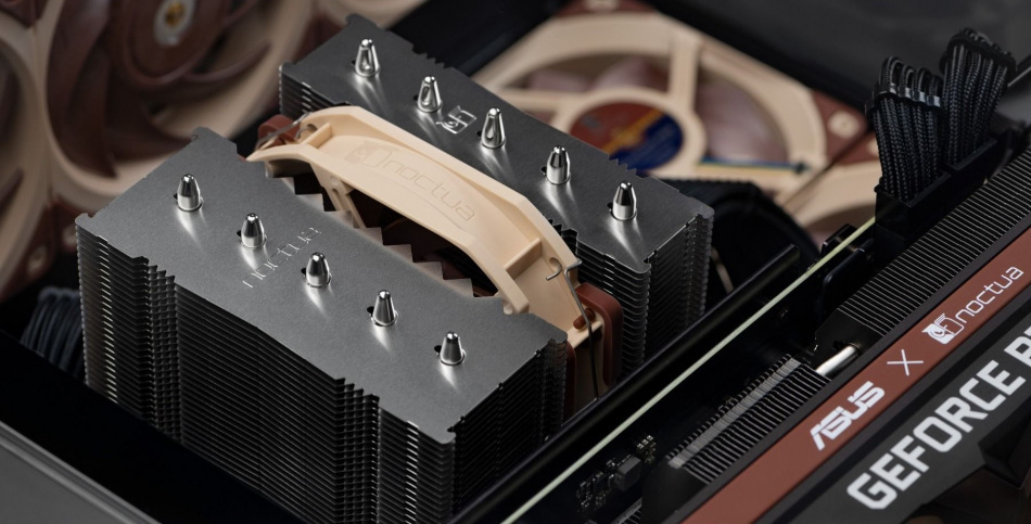 Noctua