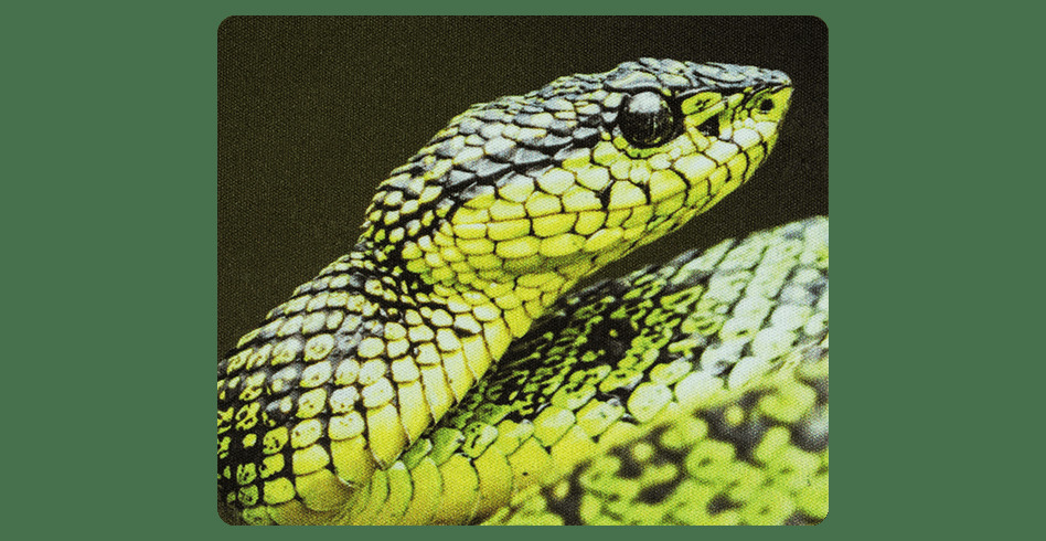 99rgzqyvzje0rxsevxbmmlau