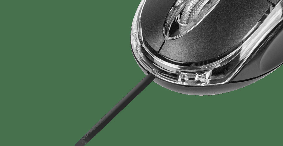 6pl4xy2ssvdtrocq6o6gkpvk