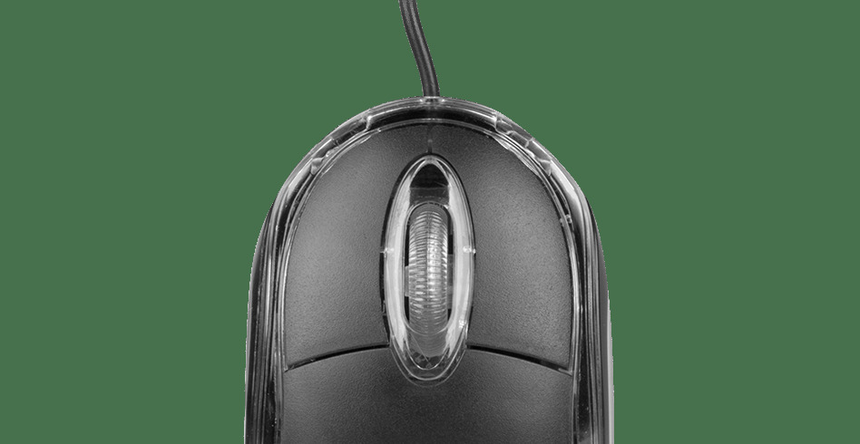 B7x6z1nxdcud3q8jgu9y81gu