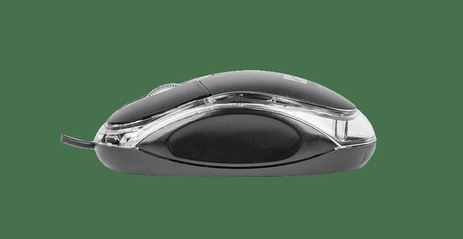 Kjk62zu1mnw146rfp6tjdpff