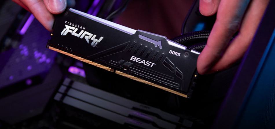 Fury Beast Black Rgb Ddr5 Plugnplay