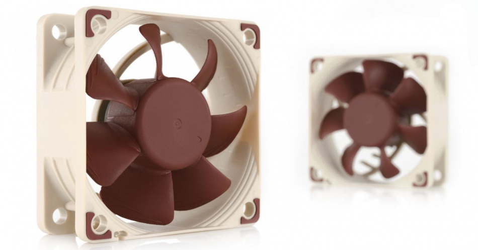 Noctua
