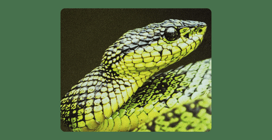 Natec Printable White 7