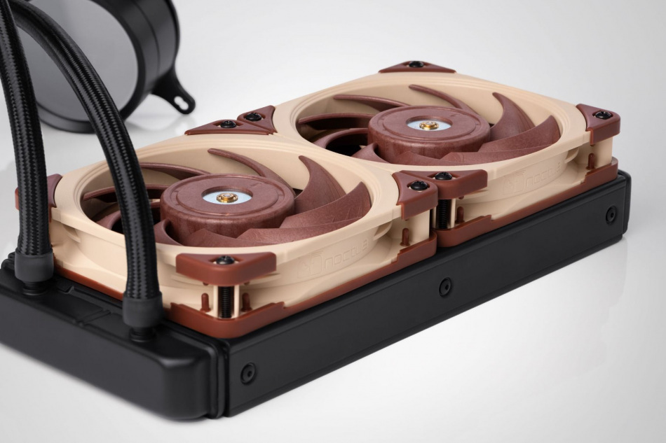 Noctua