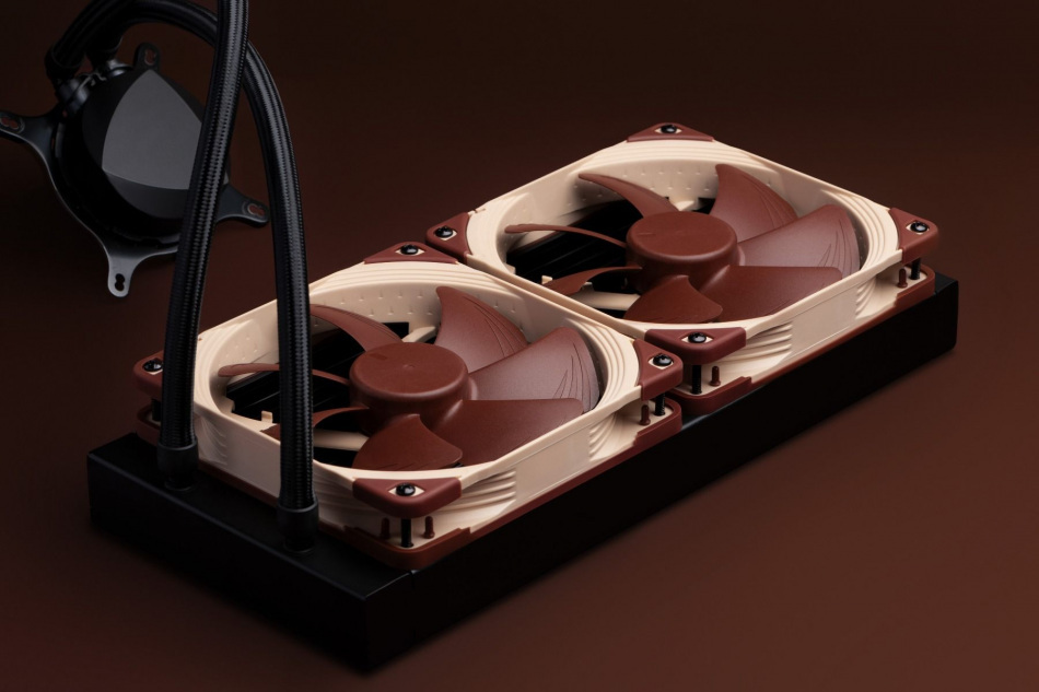 Noctua