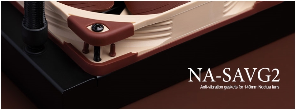 Noctua