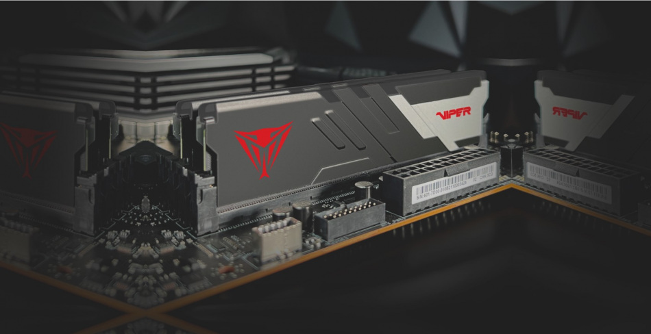 Viper Venom Ddr5
