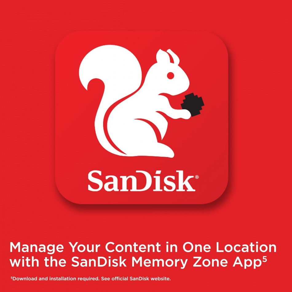 Sandisk