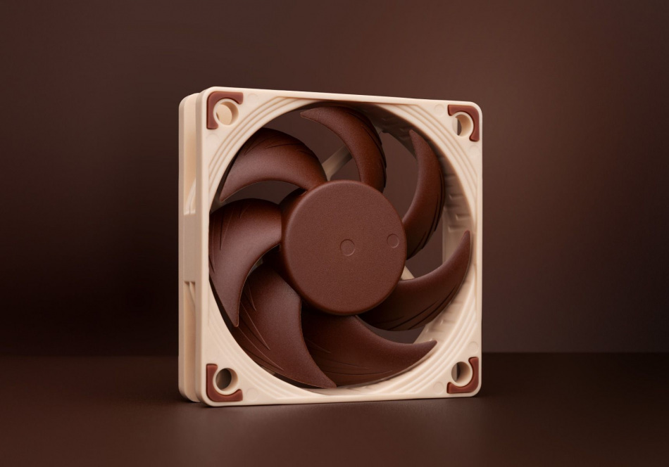 Noctua