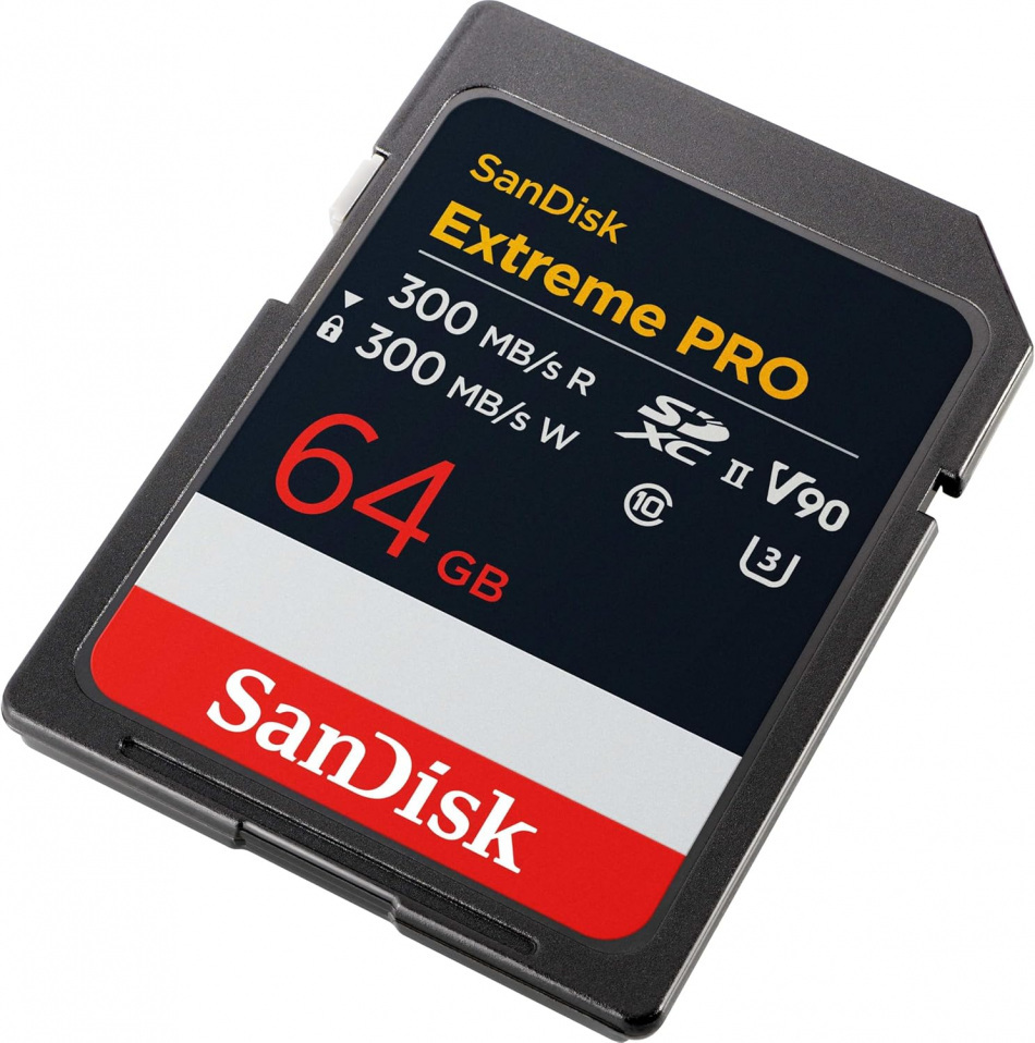 Sandisk