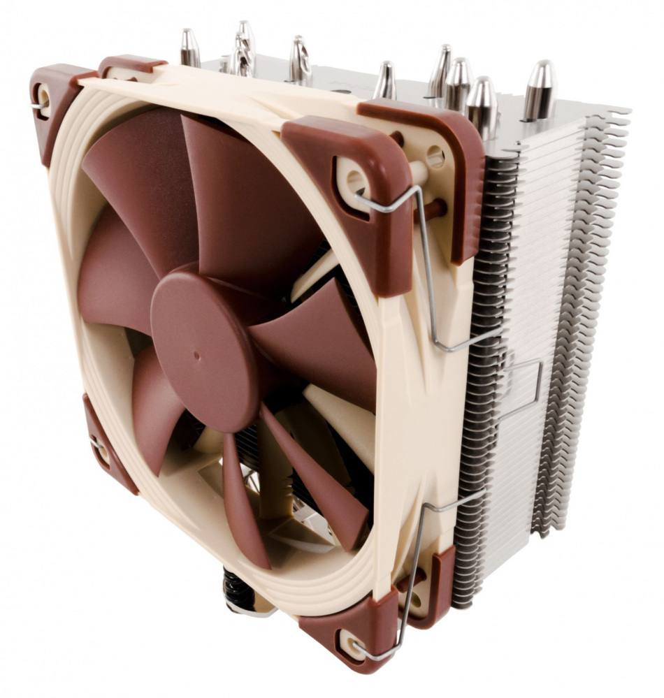 Noctua
