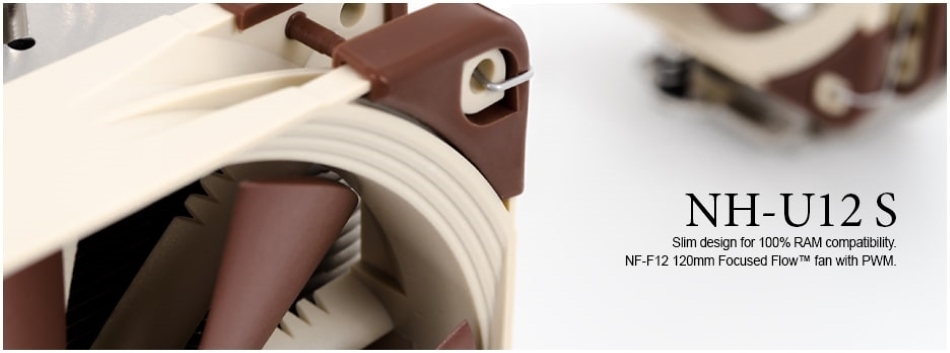 Noctua