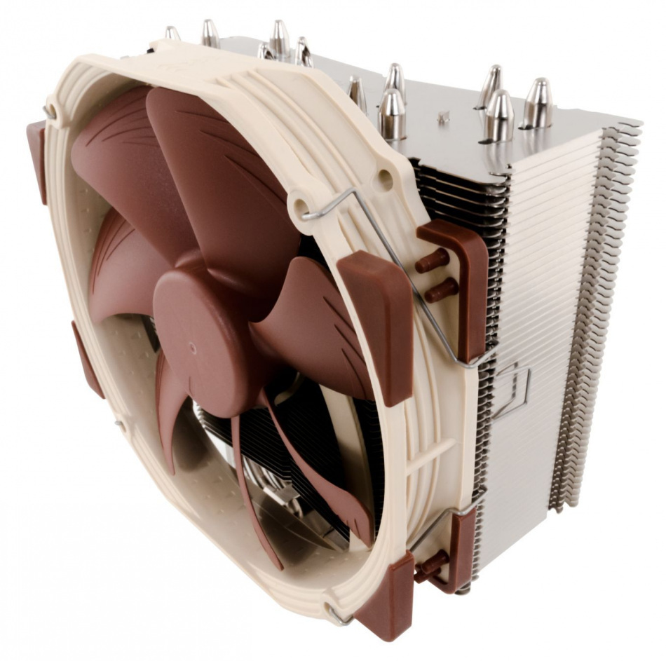 Noctua