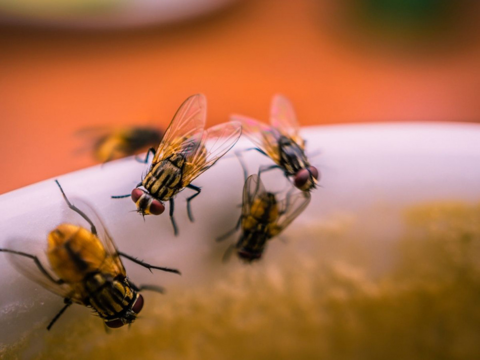 Kopia Bez Tytulu 2021 06 22t105757