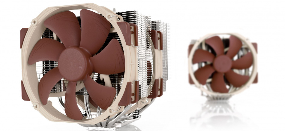 Noctua