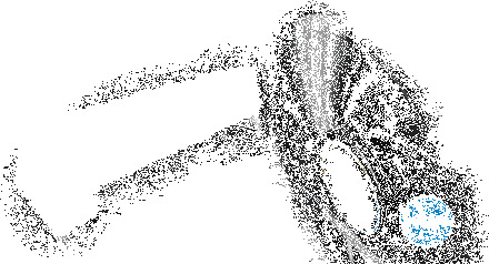 H5 Universal Features Bg3