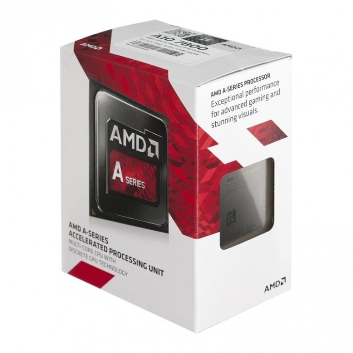 Amd1