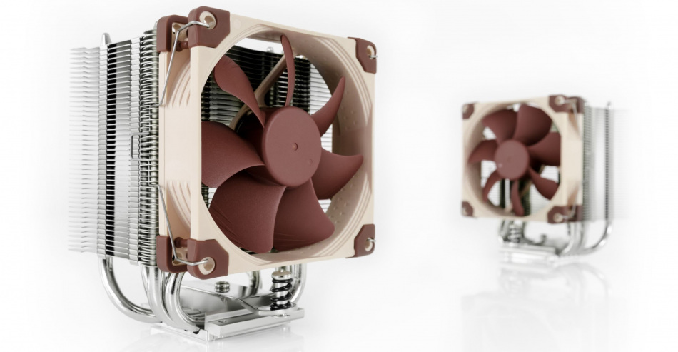 Noctua