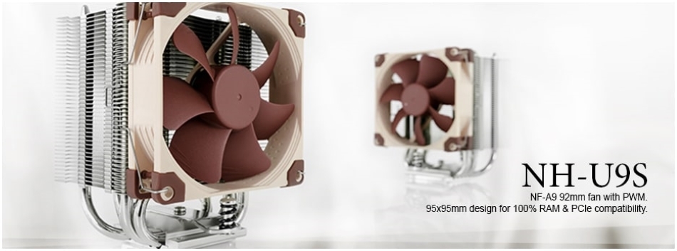 Noctua