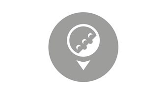 635975208714478167uq